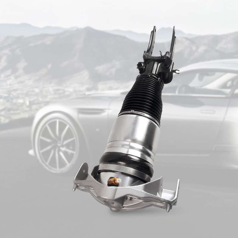 Air Suspension Shock Absorber for Audi Q7 Touareg Cayenne Air suspension